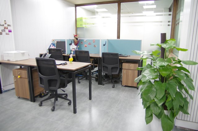Văn phòng mới ngập cây xanh và ánh sáng của Thái Minh