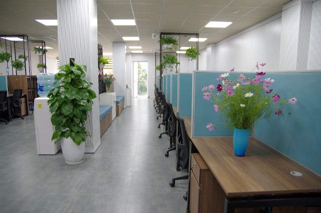 Văn phòng mới ngập cây xanh và ánh sáng của Thái Minh