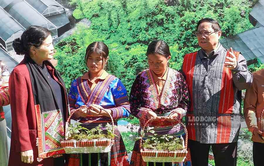 Nhân dịp này, Thủ tướng Phạm Minh Chính và Bí thư Tỉnh ủy Lai Châu - bà Giàng Páo Mỷ cũng tặng những cây sâm giống cho người dân với mong muốn đồng bào tiếp tục phát huy tiềm năng, lợi thế để có cuộc sống ngày một ấm no, hạnh phúc.