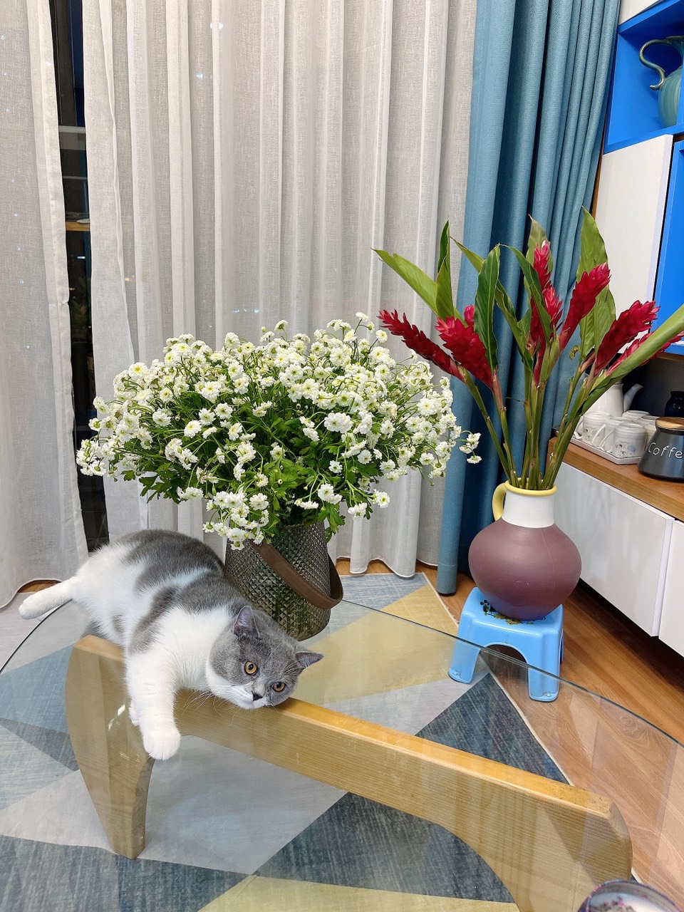 Niềm đam mê hoa của cô nàng thủ quỹ Thái Minh