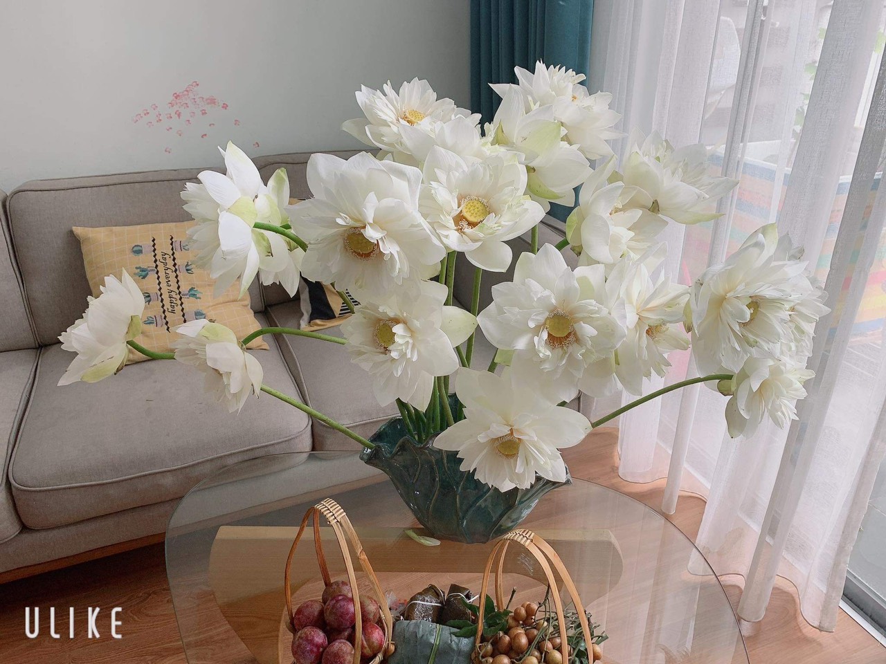 Niềm đam mê hoa của cô nàng thủ quỹ Thái Minh