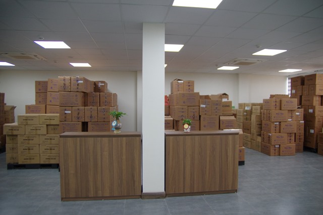 Văn phòng mới ngập cây xanh và ánh sáng của Thái Minh